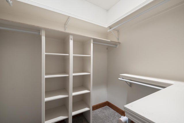1225 W Wildcherry St, Ozark, MO 65721 - spacious closet featuring carpet flooring
