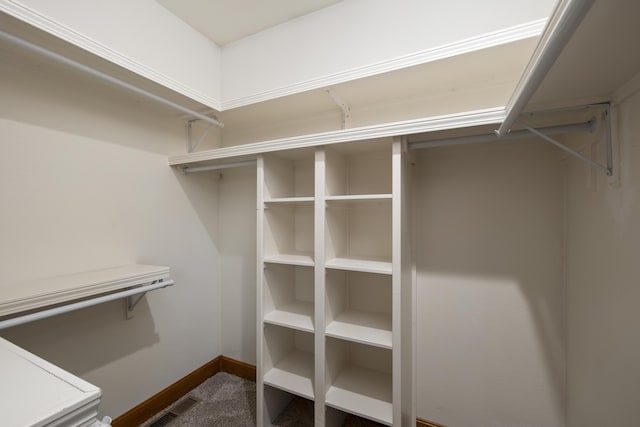 1225 W Wildcherry St, Ozark, MO 65721 - spacious closet with carpet floors