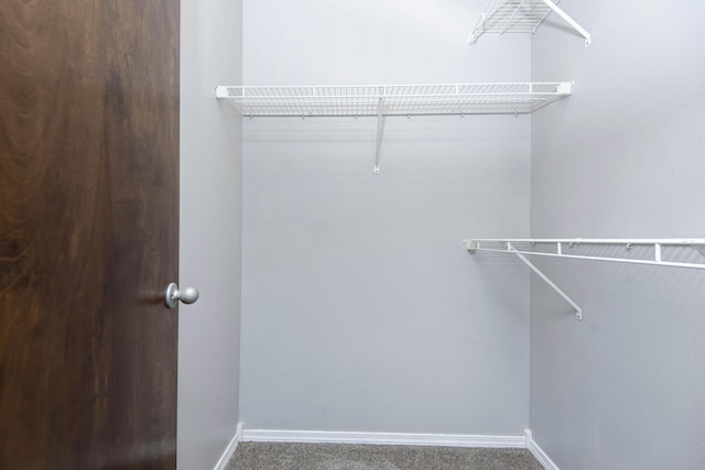 4252 W Madison St, Springfield, MO 65802 - spacious closet featuring carpet