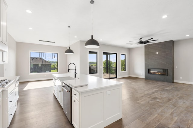 1632 Marlowe Ave, Springfield, MO 65802 - kitchen with stainless steel appliances, recessed lighting, wood finished floors, a ceiling fan, and white cabinets