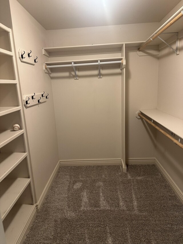 5605 N Seacrest Dr, Ozark, MO 65721 - spacious closet featuring carpet