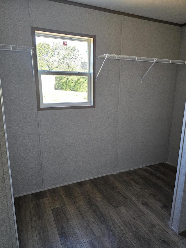 000 Oak St, Conway, MO 65632 - spacious closet with dark wood-style flooring