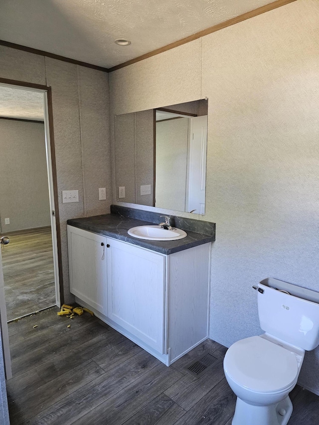 000 Oak St, Conway, MO 65632 - bathroom featuring crown molding, wood finished floors, vanity, a decorative wall, and a textured ceiling