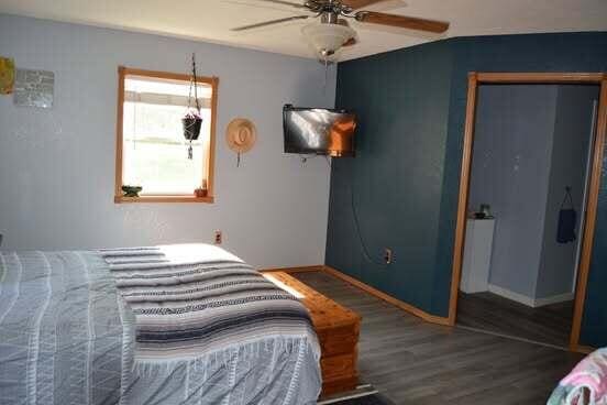 163 Hidden Hollow Dr, Marshfield, MO 65706 - bedroom with wood finished floors and a ceiling fan