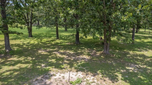 163 Hidden Hollow Dr, Marshfield, MO 65706 - view of green lawn
