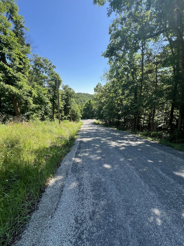 291 Beaver Rd, Branson, MO 65616