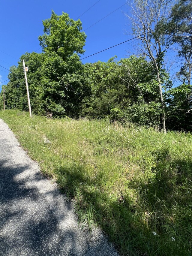 291 Beaver Rd, Branson, MO 65616