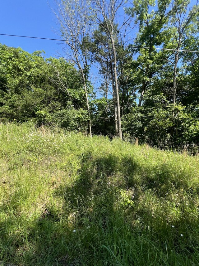 291 Beaver Rd, Branson, MO 65616