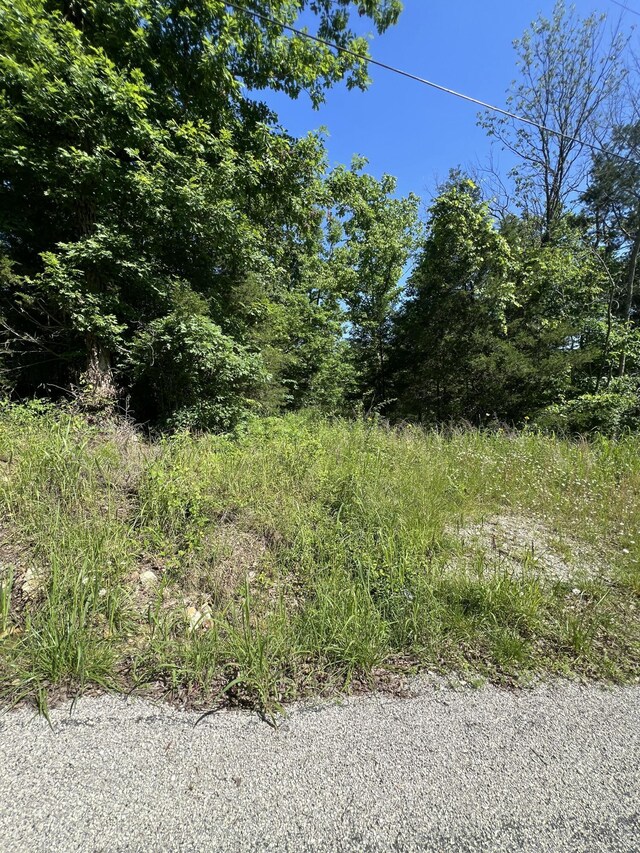291 Beaver Rd, Branson, MO 65616