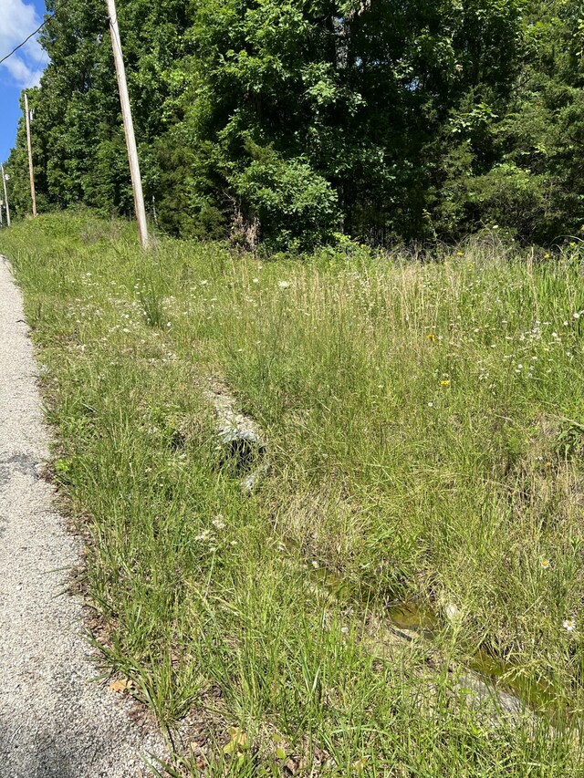 291 Beaver Rd, Branson, MO 65616