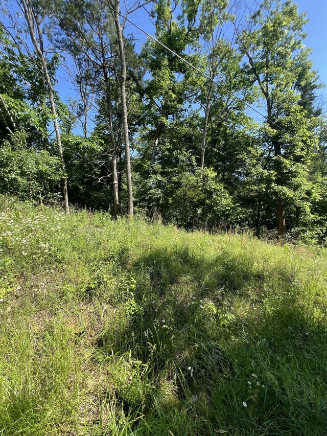 291 Beaver Rd, Branson, MO 65616