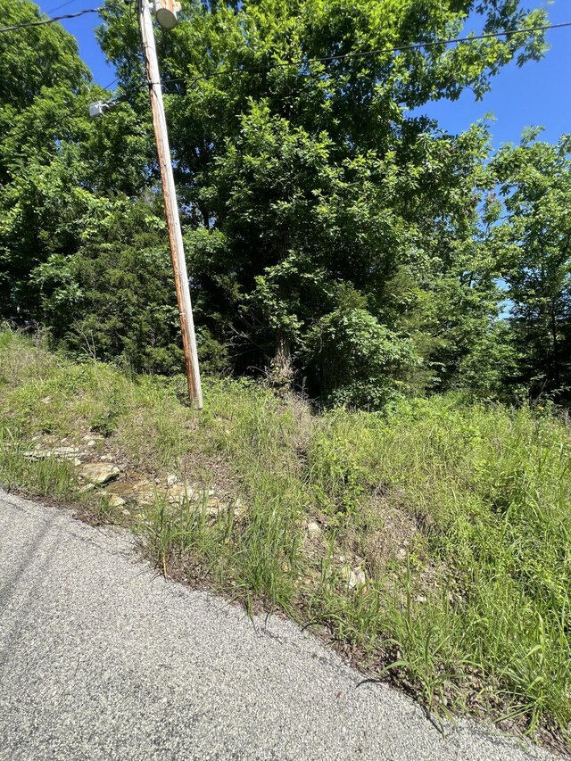 291 Beaver Rd, Branson, MO 65616
