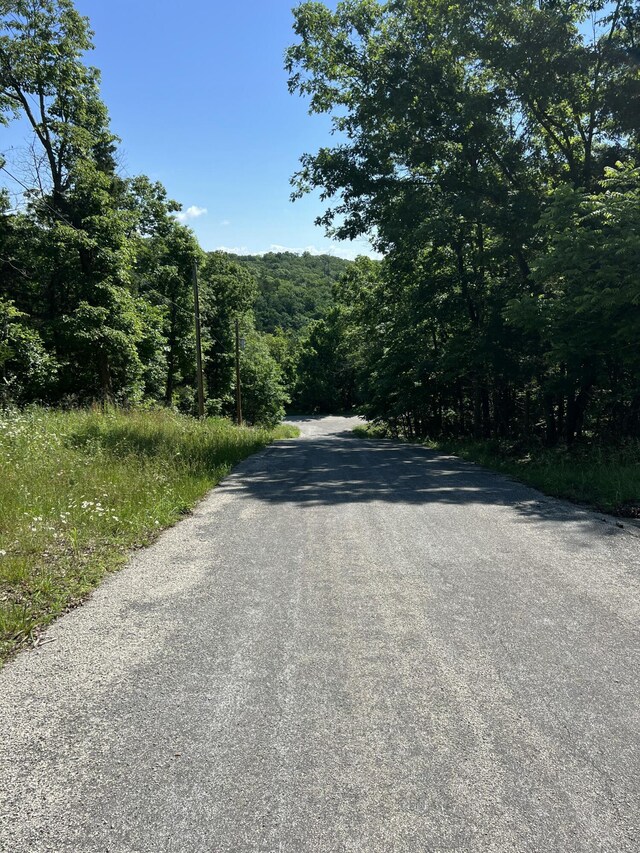 291 Beaver Rd, Branson, MO 65616