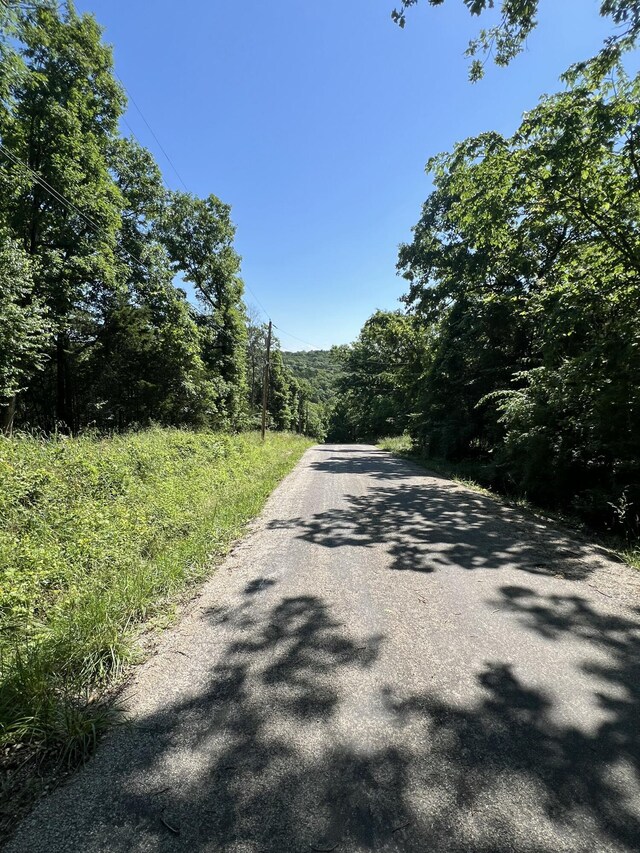 291 Beaver Rd, Branson, MO 65616