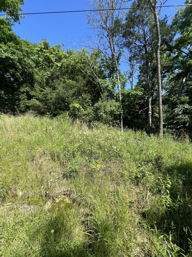 291 Beaver Rd, Branson, MO 65616