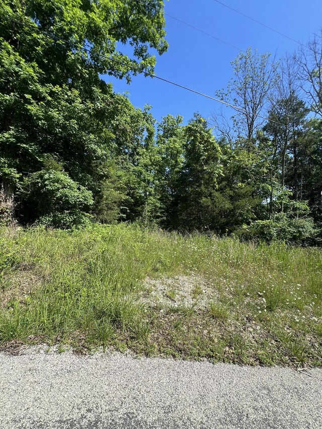 291 Beaver Rd, Branson, MO 65616