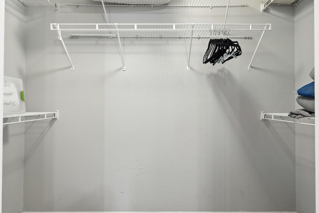 215 Meadow Brook Ln Unit 3, Branson, MO 65616 - view of walk in closet