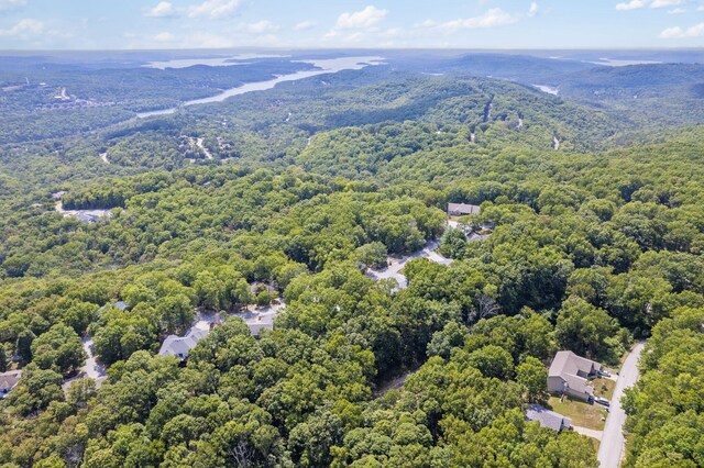 175 Queensberry Dr, Branson West, MO 65737 - photo 4