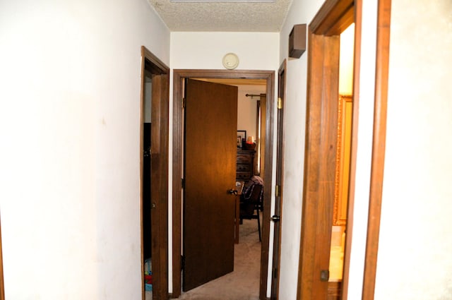 1761-1763 E Lark St, Springfield, MO 65804 - corridor featuring carpet flooring and a textured ceiling