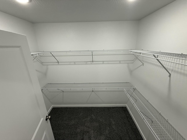 401 E Wright St, Willard, MO 65781 - walk in closet featuring carpet floors