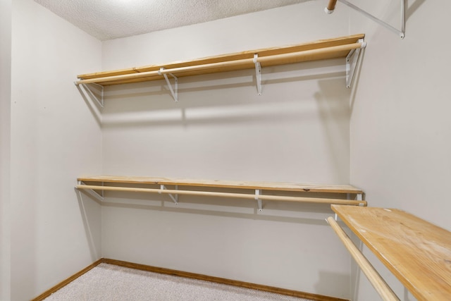 1801 W Cherokee St, Springfield, MO 65807 - spacious closet with carpet