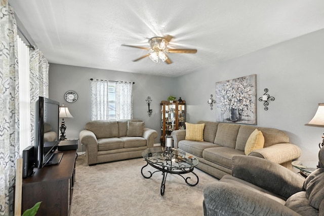 601 Linzee Blvd, Pierce City, MO 65723 - photo 6