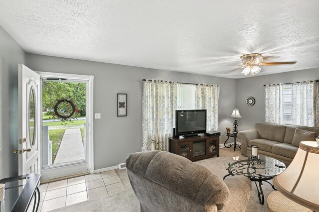 601 Linzee Blvd, Pierce City, MO 65723 - photo 8