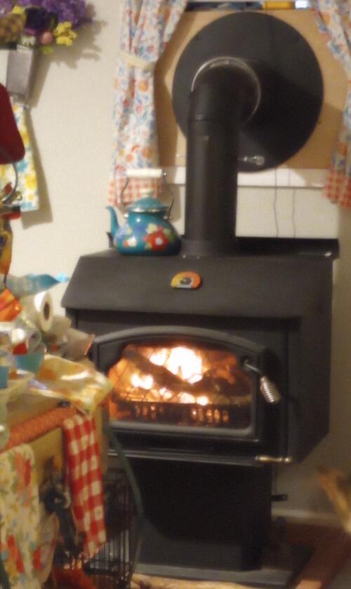 231 W School St, Everton, MO 65646 - detailed view of a wood stove