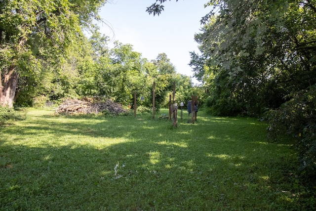231 W School St, Everton, MO 65646 - view of grassy yard
