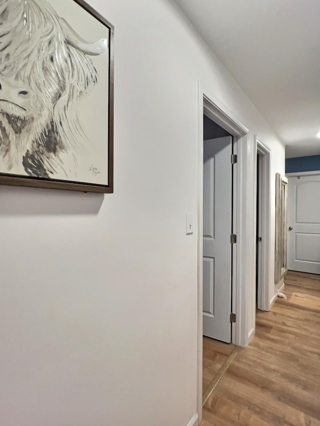 556 Carter 309, Van Buren, MO 63965 - hall with light wood finished floors and baseboards
