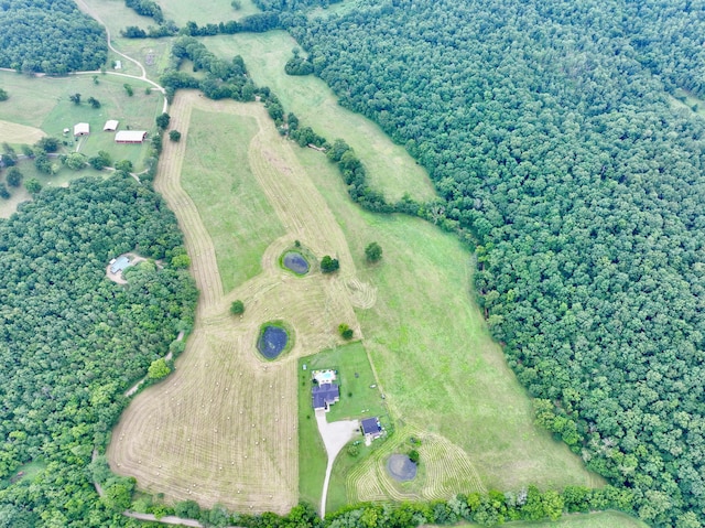 556 Carter 309, Van Buren, MO 63965 - aerial overview of property's location