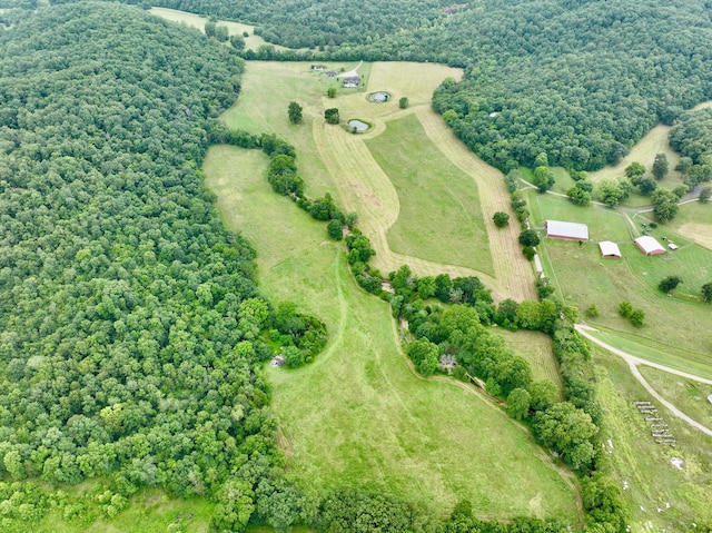 556 Carter 309, Van Buren, MO 63965 - view of property location featuring rural landscape