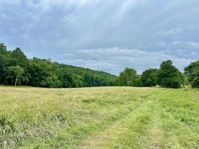 556 Carter 309, Van Buren, MO 63965 - view of wooded area with a rural view