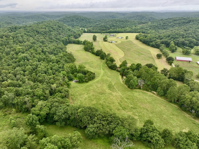 556 Carter 309, Van Buren, MO 63965 - overview of rural landscape with a heavily wooded area