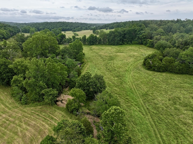 556 Carter 309, Van Buren, MO 63965 - aerial view of sparsely populated area