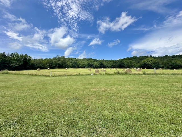 556 Carter 309, Van Buren, MO 63965 - view of yard featuring a rural view