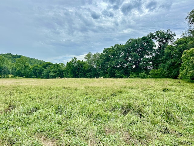 556 Carter 309, Van Buren, MO 63965 - view of woods featuring a view of countryside