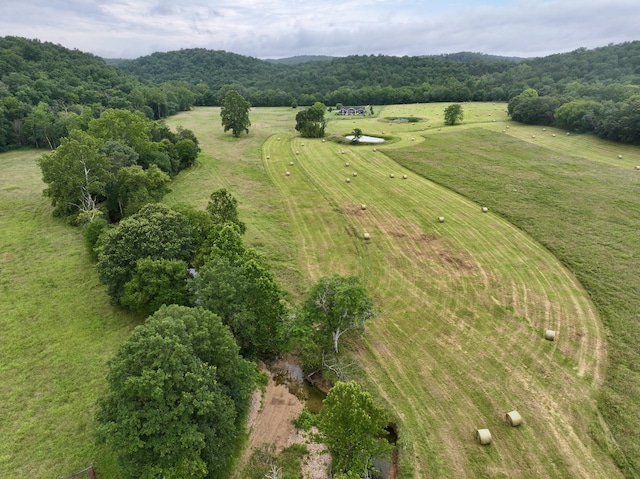 556 Carter 309, Van Buren, MO 63965 - aerial view of a forest