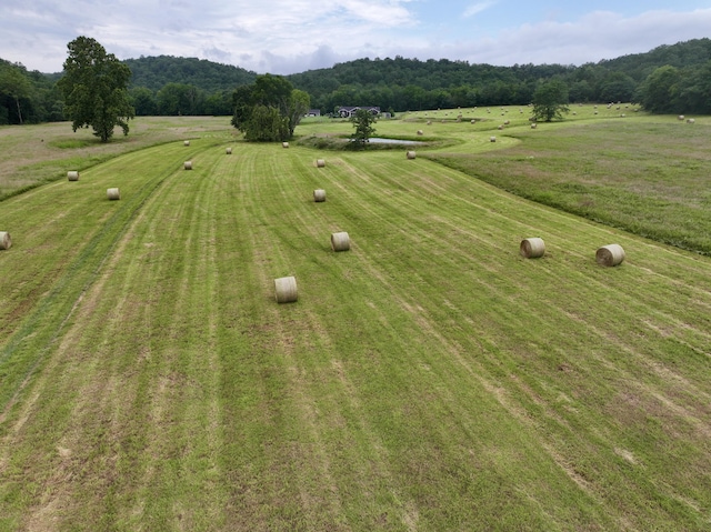 556 Carter 309, Van Buren, MO 63965 - view of rural area