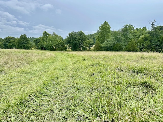 556 Carter 309, Van Buren, MO 63965 - view of wooded area with a view of countryside
