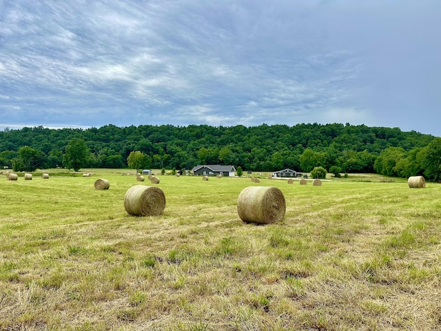 556 Carter 309, Van Buren, MO 63965 - view of grassy yard featuring a view of countryside and a wooded view