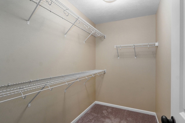 5834 Geranium Ln, Battlefield, MO 65619 - walk in closet featuring carpet