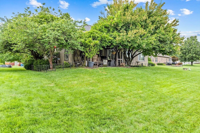 701 E Bayshore Dr, Ozark, MO 65721 - view of green lawn