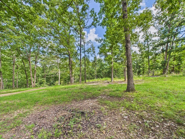 12135 Greenwood Rd, Cabool, MO 65689 - photo 22
