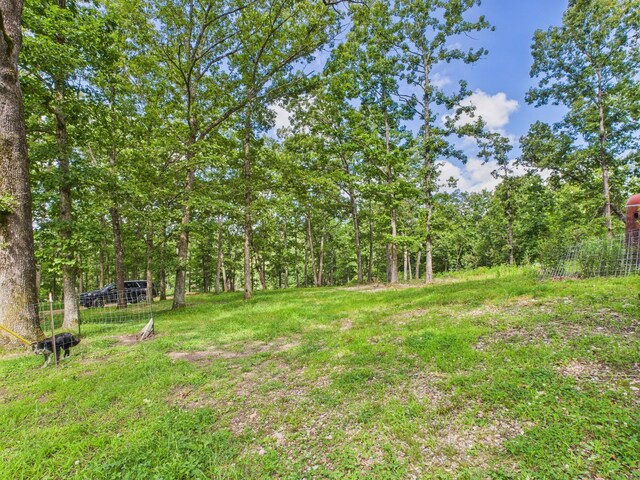 12135 Greenwood Rd, Cabool, MO 65689 - photo 23
