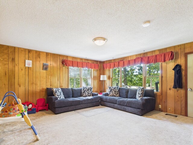 12135 Greenwood Rd, Cabool, MO 65689 - photo 2