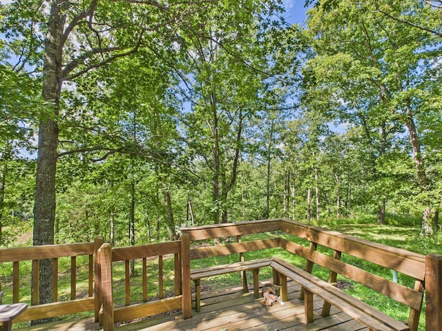 12135 Greenwood Rd, Cabool, MO 65689 - photo 20