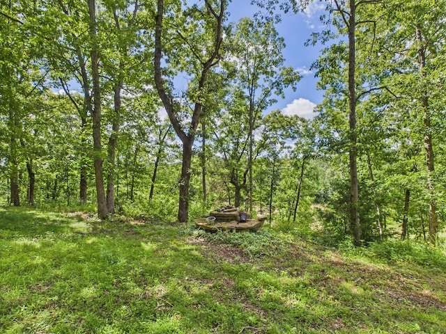 12135 Greenwood Rd, Cabool, MO 65689 - photo 18