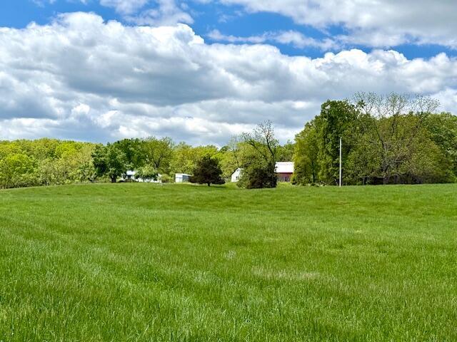 8493 Plum Valley Rd, Bucyrus, MO 65444 - photo 3