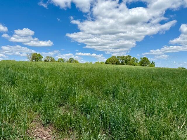 8493 Plum Valley Rd, Bucyrus, MO 65444 - photo 37